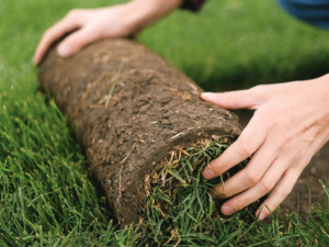 Beispielseite Baustellen News